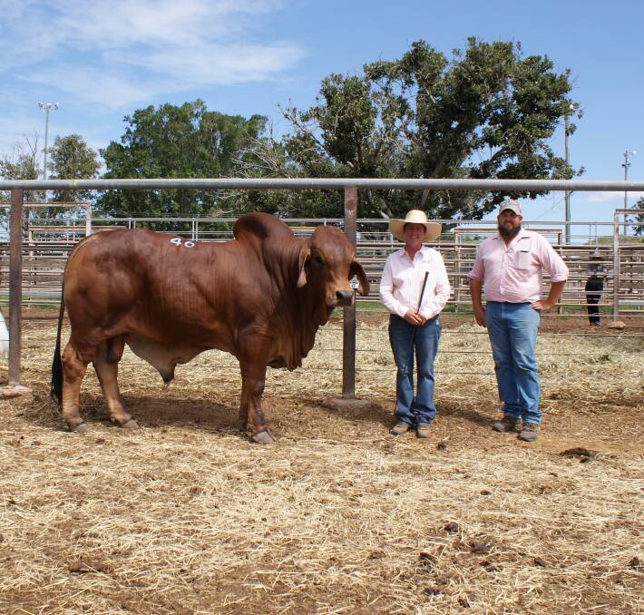 Top price red bull Palmal 8957, with vendor Julie McCamley and buyer Terry Randell, Crinum Brahmans, Tieri.
