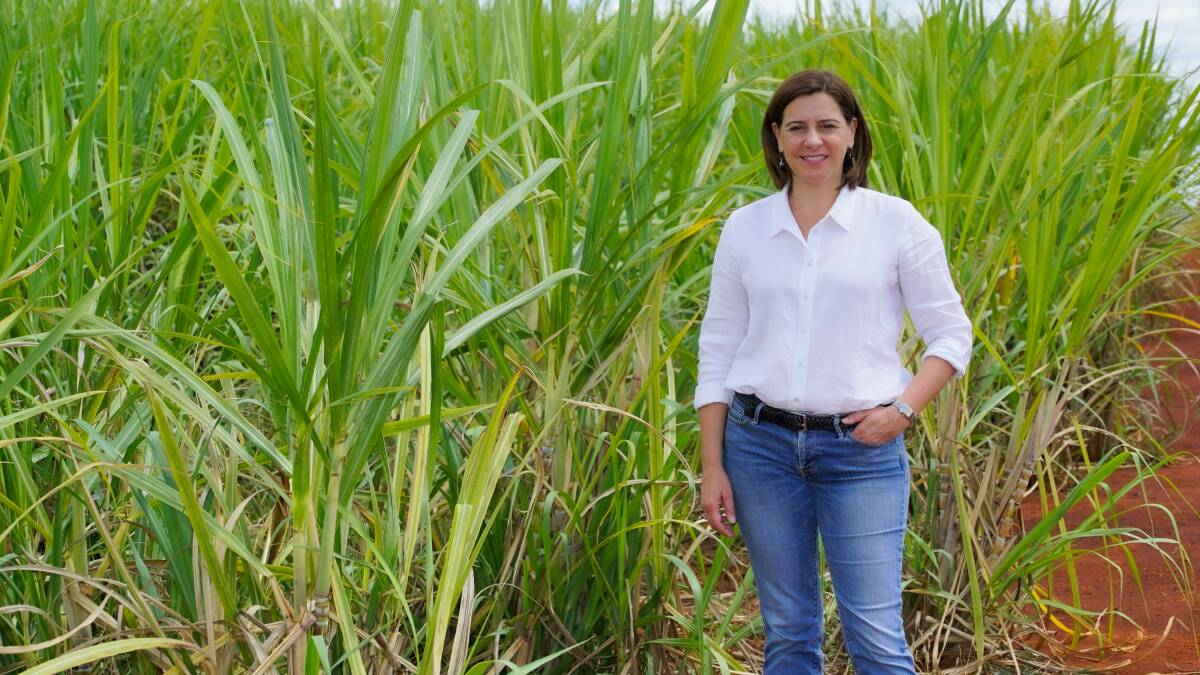 LNP Leader Deb Frecklington has pledged to review electricity tariffs for farmers within 100 days of taking office should she be successful in the state election.