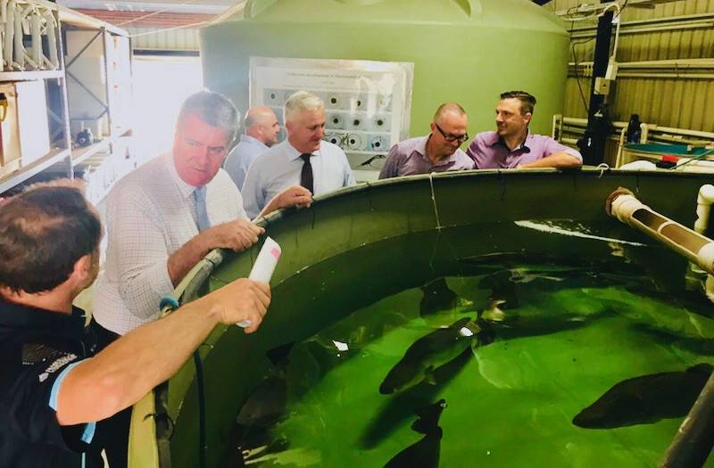 Agriculture Minister Mark Furner was in Townsville today, checking out JCU's aquaculture research lab and spruiking the potential for growth in the sector.