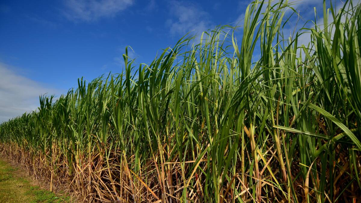 Queensland Sugar invests millions in Burdekin Valley expansion plan