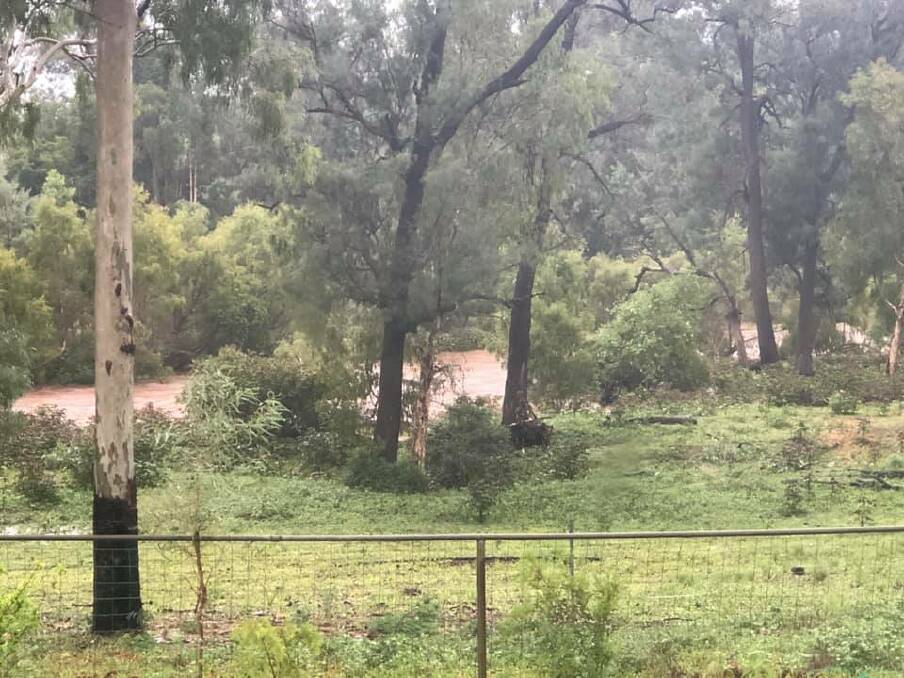 This creek at Rangeview Station, near Ravenwood, has not run to such an extent for about seven or eight years. Photo: Sonia Spurdle.