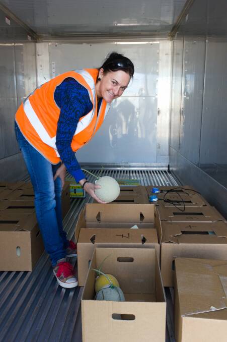 Heidi Wittl, Technical Officer, Protected Cropping Team, Department of Agriculture and Fisheries loading Burdekin grown melons into the container.