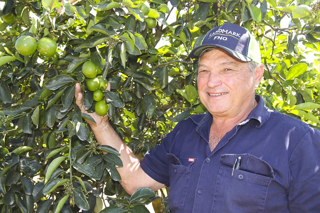 Mareeba citrus grower Con Iacutone has been named a finalist in a Tablelands hotriculture industry award.