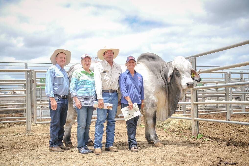 FBC Felix Manso 924/1 topped the Big Country Brahman Sale in 2018 after he sold for $65,000 to Matthew and Janelle McCamley, Lancefield M Brahmans, Dululu, pictured with Tony and Joanne Fenech, Fenech Brahmans, Wowan.