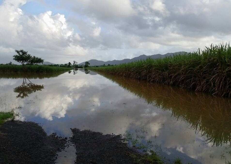 Floodwaters inundate a cane farm at Daradgee in the Innisfail district. Picture: CANEGROWERS
