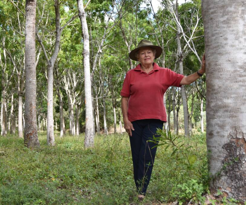 Sandra Richards, at her African Mahogany plantation near Rollingstone, north of Townsville. Photo: Jessica Johnston.