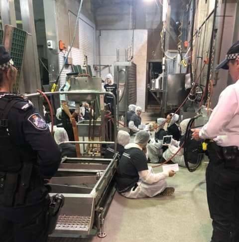 CRACK DOWN: Activists, such as the protesters who chained themselves inside the Carey Brothers abattoir at Yangan earlier this year, could face tough new penalties under the proposed laws. Picture: Nakita Leach