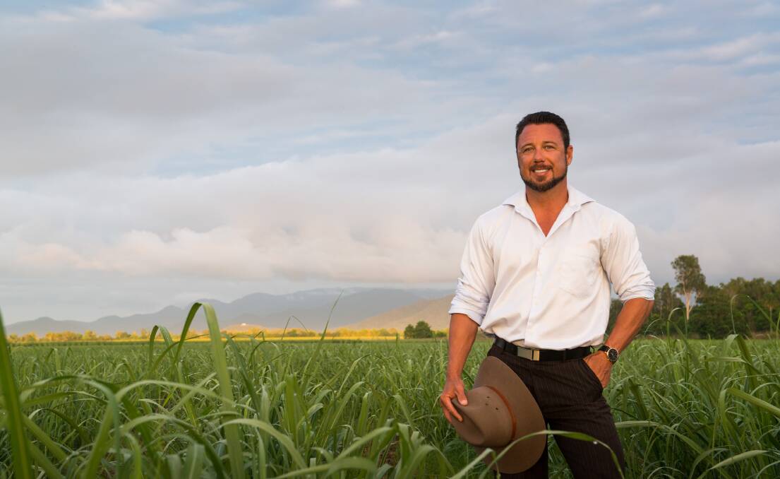 Hinchinbrook MP Nick Dametto believes molasses based supplements could be used to feed drought-stricken cattle, while also boosting the sugar cane industry in the North.