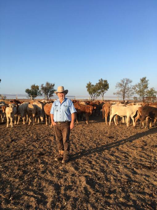 Simon Stevenson, of Villamosa Station in Central Queensland’s Banana Shire is concerned about the welfare of livestock amid the molasses shortage.