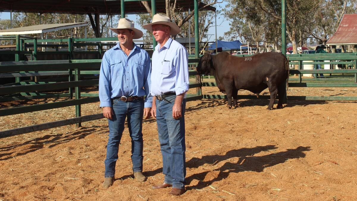 Andrew Bassingthwaighte and Neil Watson with the top price bull Yarrawonga P914 (PP), who topped the sale at $51,000.