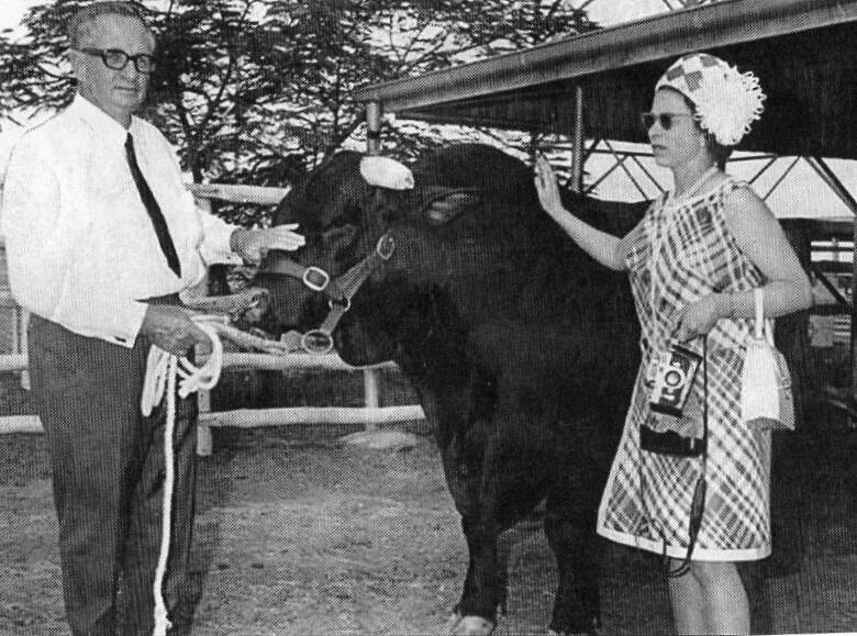 The late Bill Kerr's biggest journalist coup was the ionic picture of Sir James Walker and Queen Elizabeth while visiting the Cumberland Santa Gertruids stud near Longreach in 1970. HIs editor insisted he get a picture of Sir James' cattle and not one of Her Majesty planting a tree. 