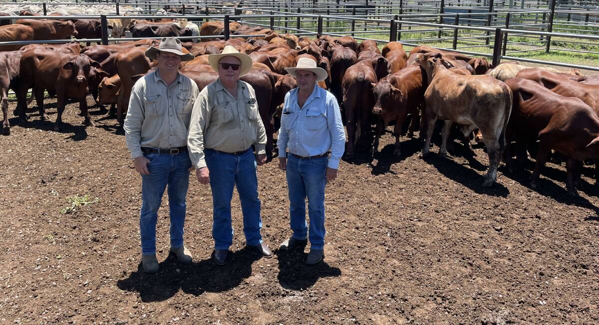 Ben Michelmore, Strathdee, Nebo, with Ian Michelmore, Fort Cooper, Nebo, and Tony Dwyer, GDL Mackay livestock territory manager. The Michelmore family rewrote the Nebo saleyard record for steers and heifers last Friday.