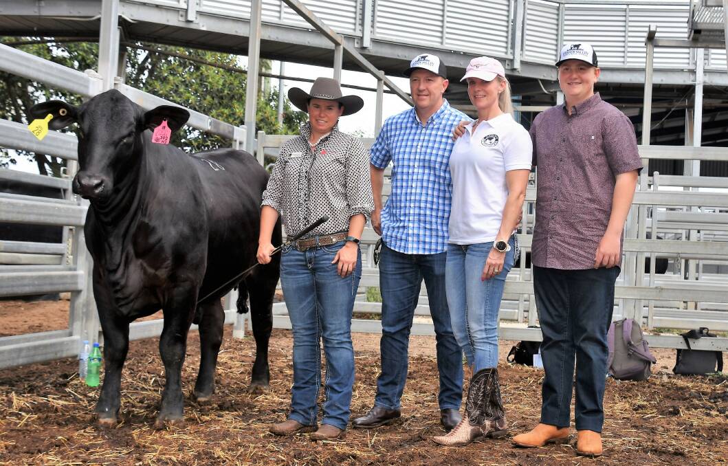 Top price Brangus female at $34,000 was Telpara Hills with Fiona Pearce, Telpara Hills, with buyers Peter and Roz Alexander and son Matthew, Hidden Valley Speckle Park, Koyogle, NSW. Picture Sheree Kershaw  