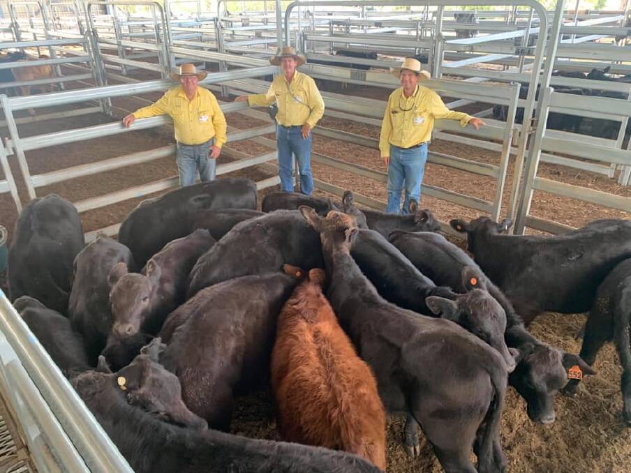 Col Goodwin, Gary Wendt and Trevor Humble, Ray White Rural Gracemere, pictured with the top pen of heifers which sold for 408.2c/kg.