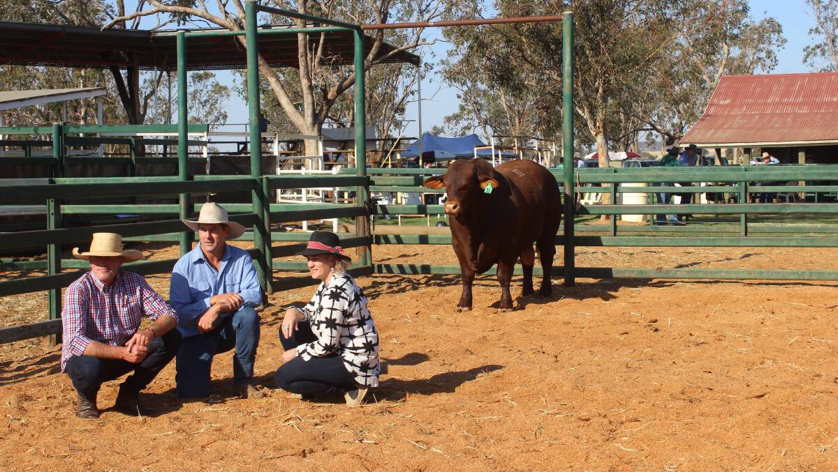 Scott and Wendy Ferguson with Andrew Bassingthwaighte (centre) and Yarrawonga P590 who sold for $40,000, 