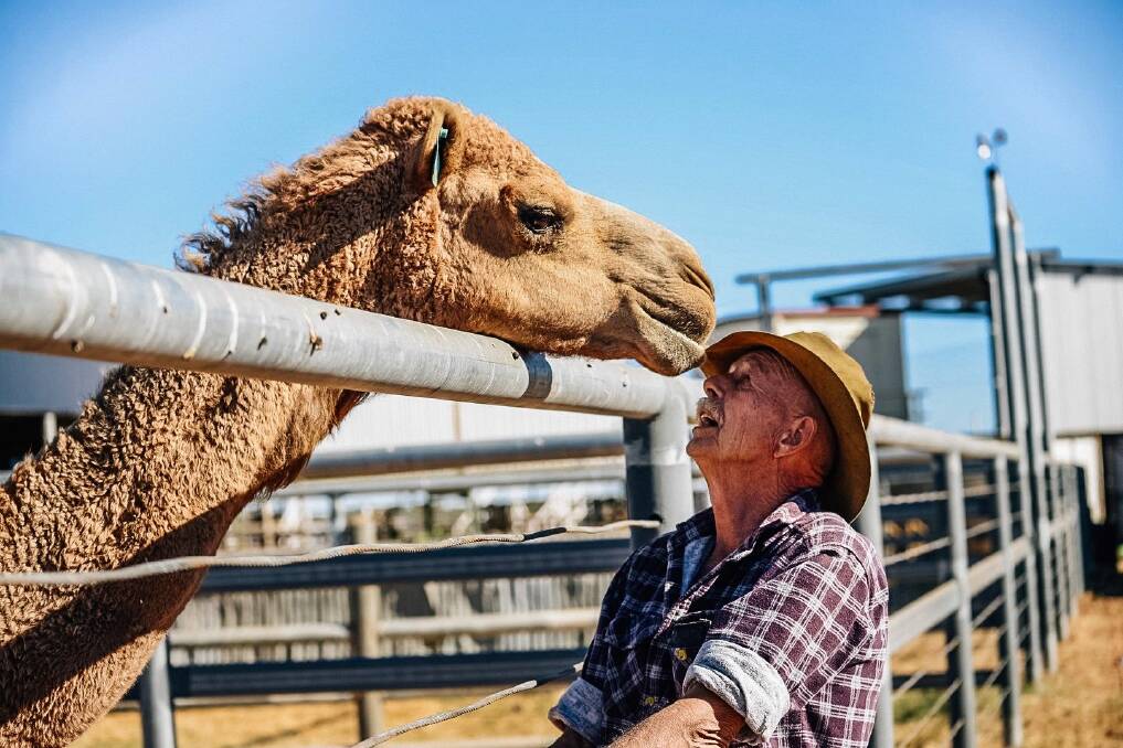 Boulia's off and racing with camels this weekend