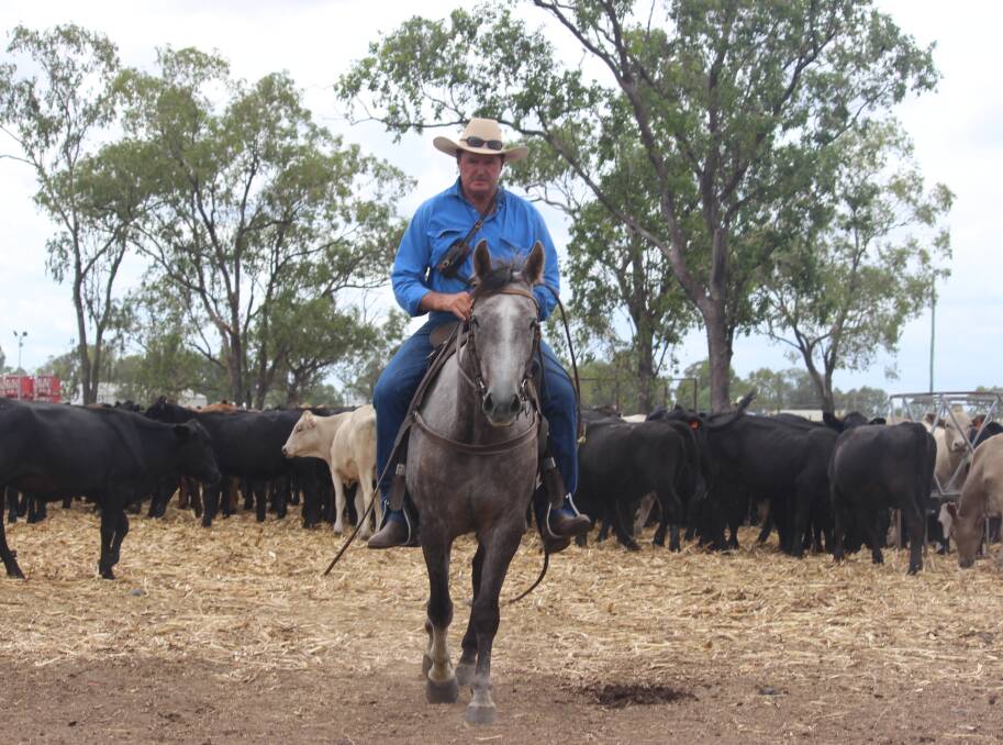 Reviewing routes: Roma-based drover Bill Little said it would be foolish for the government to increase fees for travelling stock during the drought. The review findings are expected to be handed down at the end of the year. Picture: Helen Walker
