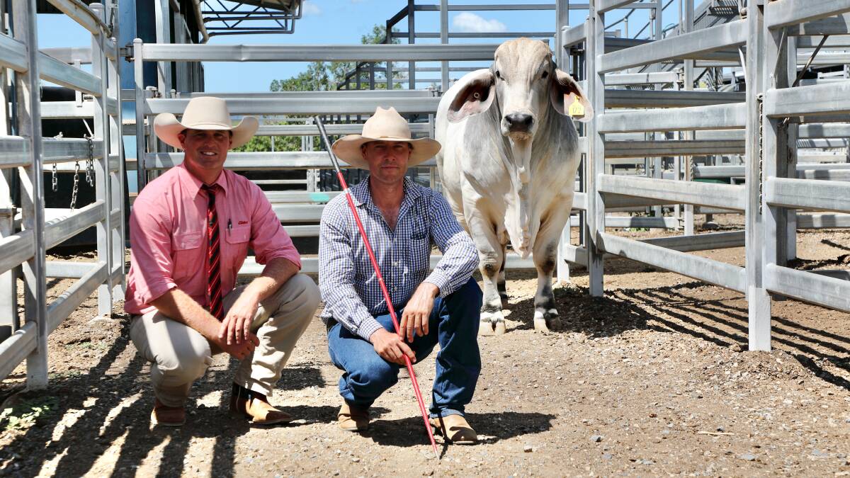 Record breaking $42,500, Riverlea Vancouver 004 (IVF) (PS) is with Adam Geddes, Elders Stud Stock Rockhampton, and vendor Tom Currant, Riverlea stud, Duaringa. The 836kg entry was purchased by Clinton Geddes and family, Three D stud, Rockhampton. 