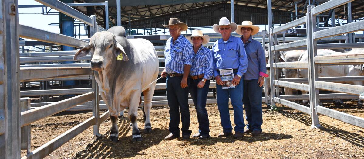 The second-top priced Garglen Leroy (PS), with vendors Shane and Sandra Bishop, Garglen stud, Moura, and buyers Kelvin and Margaret Maloney, Kenilworth stud, Mount Coolon. 