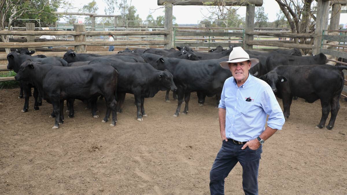 Ron Milne, Woodbury, Yeppoon, with his pen of 10 No.9 Brangus commercial maiden heifers he purchased for $2200 per head at last weeks Triple B Brangus annual production sale, Dingo.