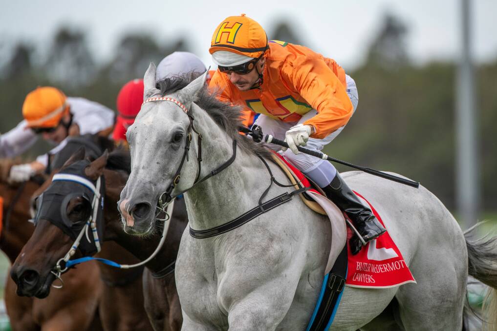Grey Missile ridden by Brad Stewart sent his earnings soaring past $300,000 when winning a 1200m No Metro wins handicap at Corbould Park on the Sunshine Coast. Picture - Racing Queensland.
