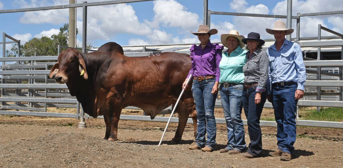 Topping the red section of the catalogue and day three proceedings, the $140,000 Palmvale Odyssey 3894 (PP) with vendors Remy and Beth Streeter, Palmvale Brahmans, Marlborough, and buyers Manny and Scott Sorley, Mt Callan, Dalby. Photos: Coulton's Country Photography