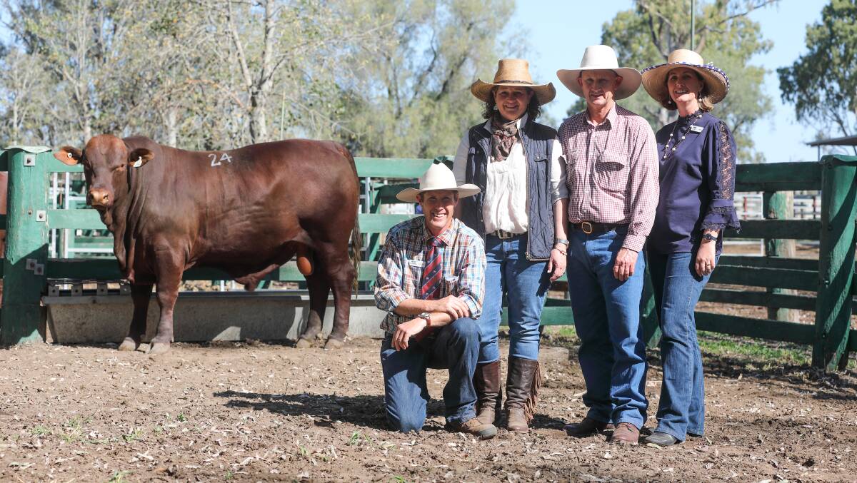 With the $85,000 record-breaking Gyranda R280 (PS) are purchasers Sonya and David Greenup, Rosevale stud, Jandowae, and vendors, Peter (kneeling) and Nikki Mahony (right), Gyranda stud, Theodore.