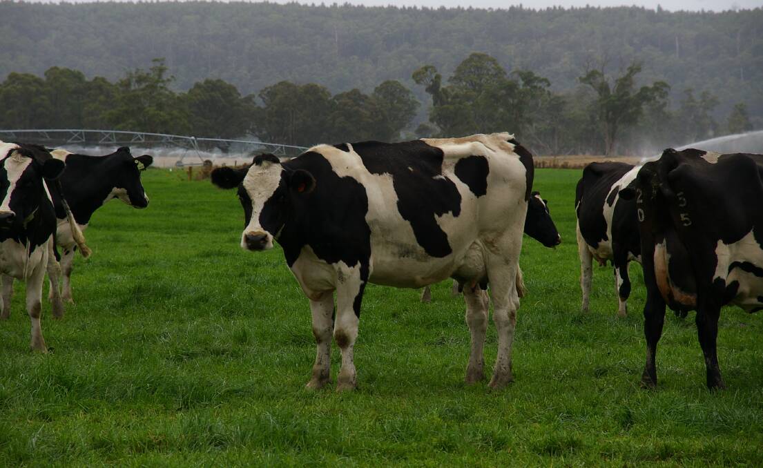 QDO has called on the Qld government to match the drought subsidies that NSW dairy farmers are receiving.
