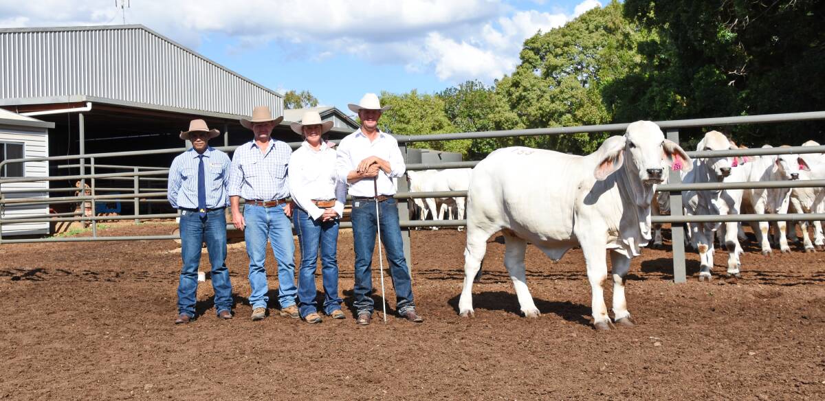 Selling agent Troy Trevor, Queensland Rural, buyers Luke and Cate Taylor, Clukan stud, Jambin, and NCC stud principal Brett Nobbs, with the $42,000 top heifer, NCC Lady Ella 5420 (IVF).