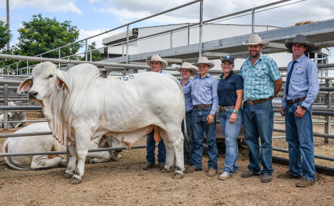 The $90,000 Token Magnum with vendors Tony, Kate and Cody Mortimer, Token Brahmans and Horses, Dalma, buyers Tracey Watts and Mark Wadsworth, Lornville Brahmans, Bowen, and agent Nick Malone, Queensland Rural. 