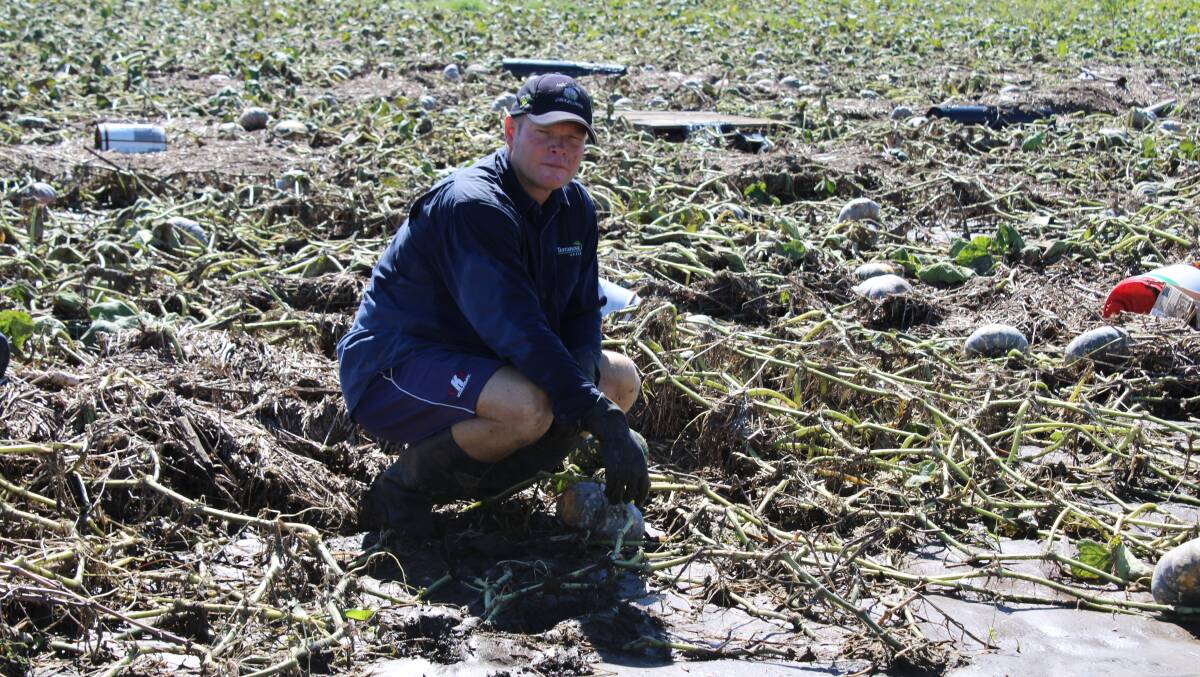 Lockyer Valley Growers Group president Michael Sippel said the complexity of loan and grant applications was too onerous for many farmers. Photo: Helen Walker