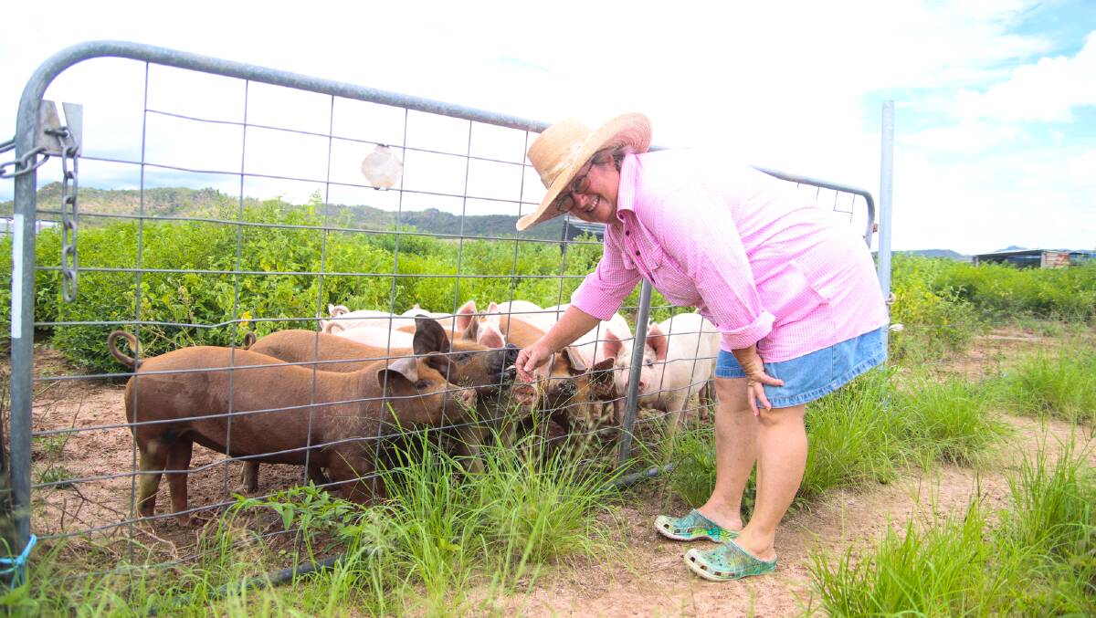 Free range pig farmer Kathy Rowling with group of upcoming finisher pigs. Picture: Lea Coghlan 