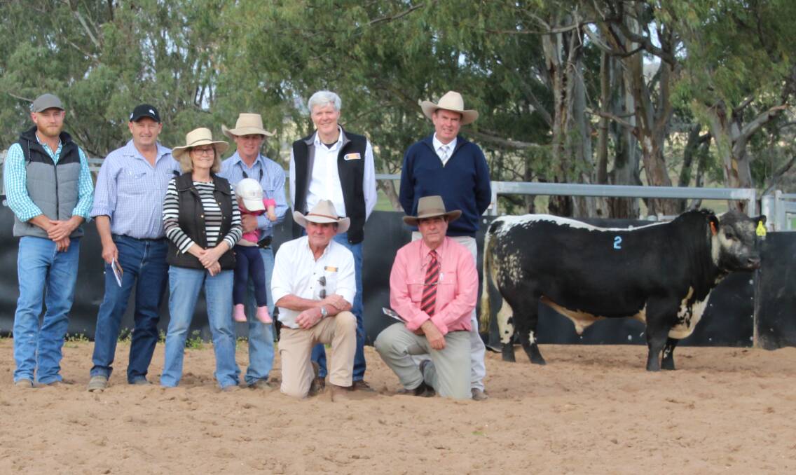 Sire Shootout viewer's choice winner Minnamurra Plunderer sold for a Speckle Park Australasian record at the time. Pictured is members of the Plunderer buying syndicate including the Potter family, Polly and Clinton Austin, David Reid and Denis Power of Minnamurra, auctioneer Paul Dooley and Elders stud stock representative Brian Kennedy. Photo: Lisa Duce 