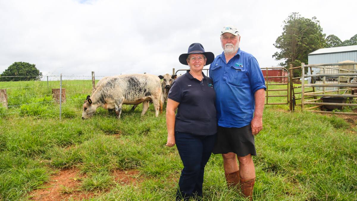 Bill and Anne Cover, Beki Speckle Park, at their stud on the Atherton Tablelands.