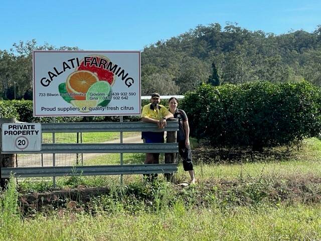 Mareeba's Giovanni and Gina Galati are struggling to keep up with the increasing demand for their product. Picture: QRIDA