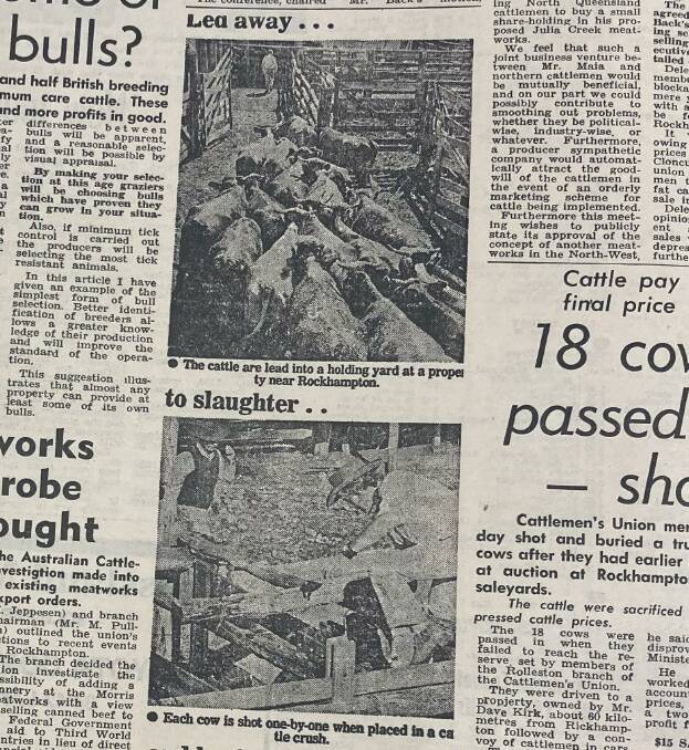 In June 4, 1977, the Cattlemen's Union drove 18 cows from Dave Kirk to the Gracemere sale with the reserve of $100 a pen, to represent the values cattlemen should expect.