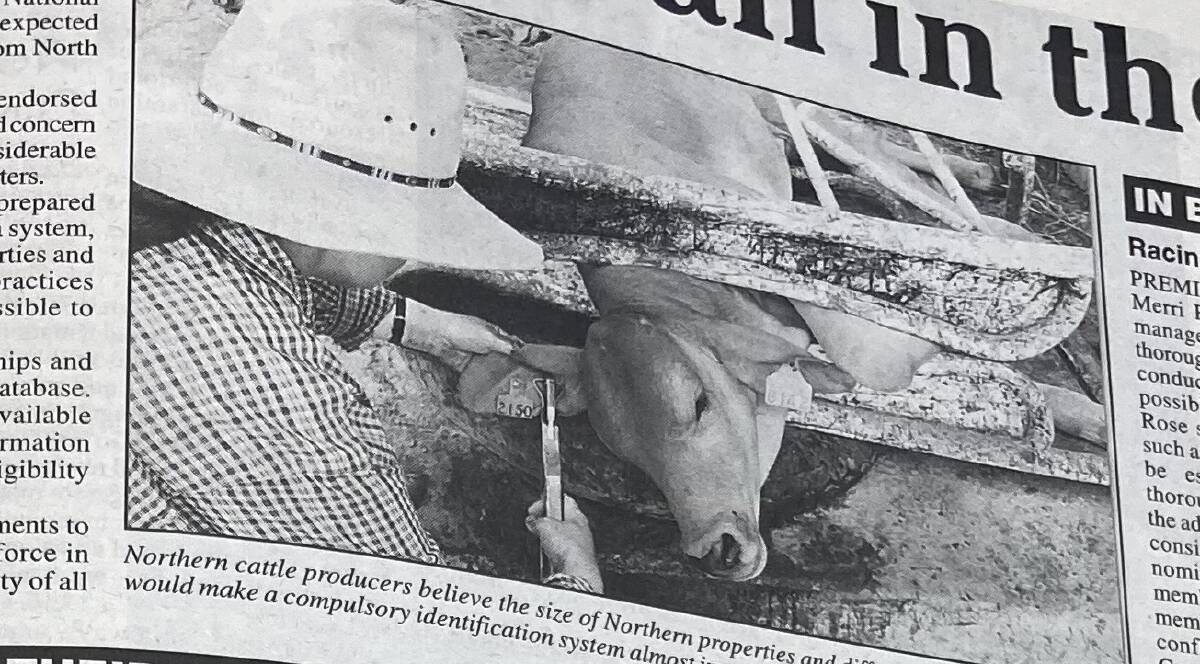 In 2001 the National Livestock Identification Scheme was still seen as "impossible" by northern beef producers. 