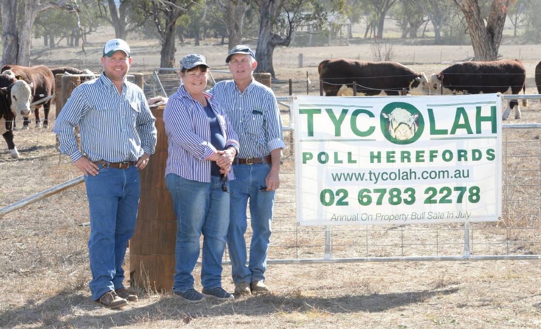 Ben, Therese and Steve Crowley at Tycolah, Barraba. Steve Crowley will take on the British and European judging of the Sire Shootout. 