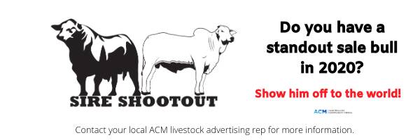 ACM announce Sire Shootout event