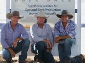 Pictured at the conclusion of the inaugural Cloncurry Bull Sale on Tuesday were co-vendors, Darren Childs, Glenlands D Droughtmaster stud, Theodore; Brett Nobbs, NCC Brahman stud, Duaringa and Anthony Anderson, Eddington Droughtmaster stud, Julia Creek. Photo: Kent Ward 