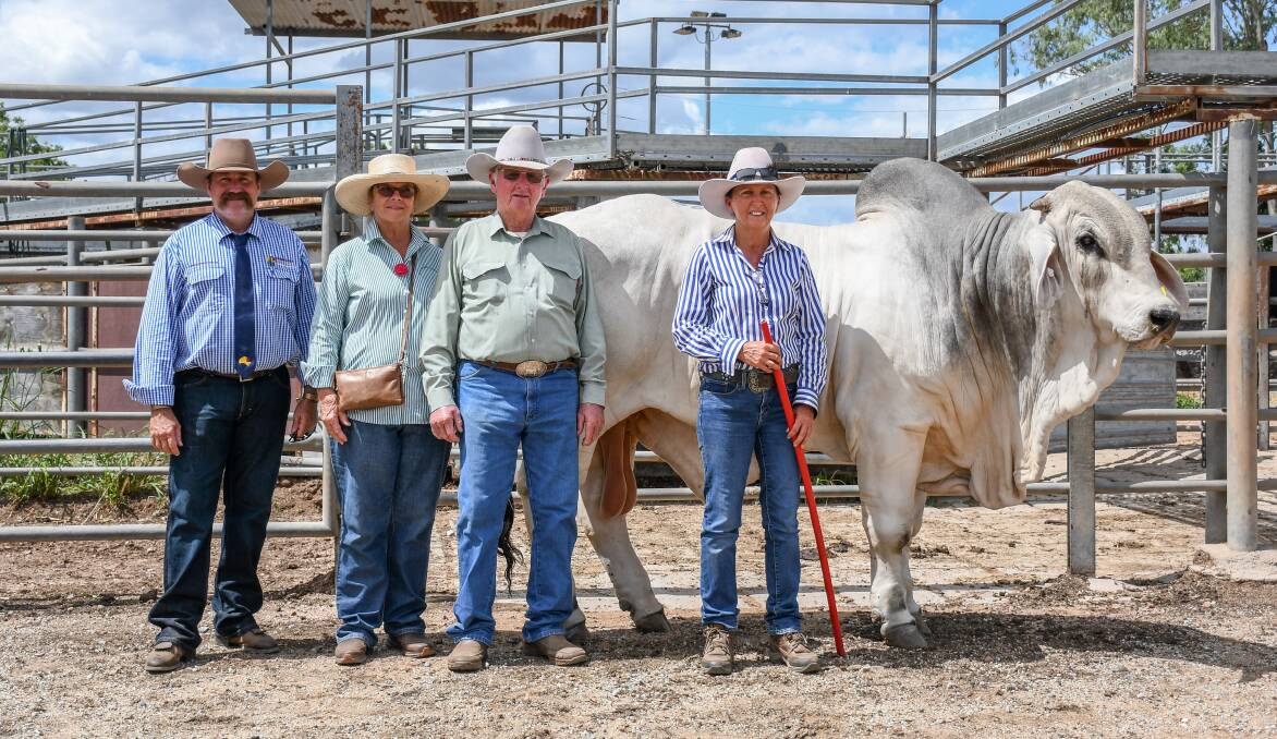 Craig Herring of Queensland Rural with successful purchasers Kelvin and Margaret Maloney, Kenilworth Brahmans, Mount Coolon and vendor Theresa Taylor, Clukan Brahmans, Jambin with the $160,000 Clukan Jaguar. 