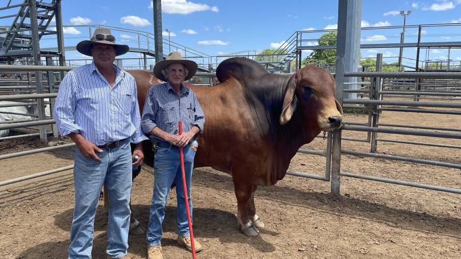 The $36,000 top price bull of the 2021 Gold City Brahman Sale, Doonside Prince Eagle (PP) with buyer Darren Marks Winvic, Kilcummin, with vendor Bill Geddes, Doonside Stud, Rockhampton.