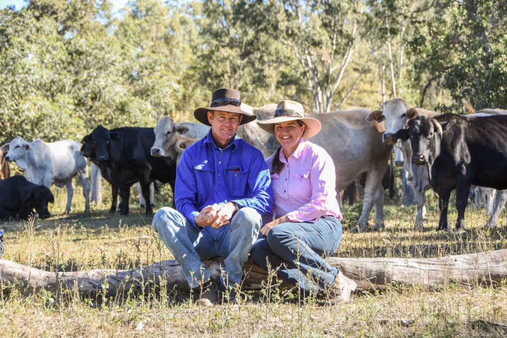 Gin Gin beef producers Doug and Sue Campbell with their breeder herd. 