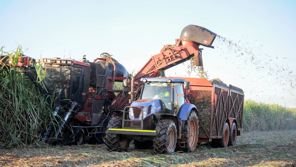 Childers cane growers full of confidence as harvest begins
