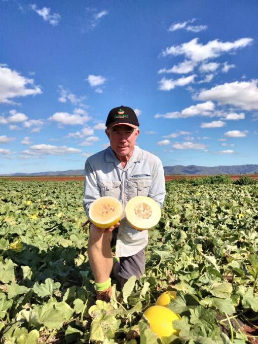 Far North Queensland farmer Shaun Jackson of Daintree Fresh is warning Australia will run out of food as farmers stop selling to supermarkets and walk away. Picture: Supplied 