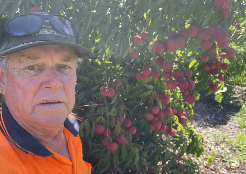 Sarina lychee grower Laurence 'Tibby' Dixon is among the award winners. Picture supplied