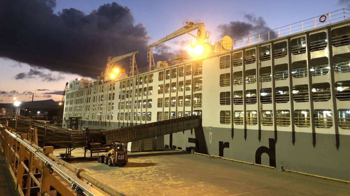 The Ocean Shearer loading live export cattle at the Port of Townsville. Picture: File 