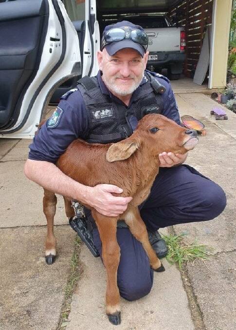 Senior Constable Andrew Perrett, pictured with a calf he rescued from the roadside, enjoyed his rural posting at Nebo, 100km west of Mackay.