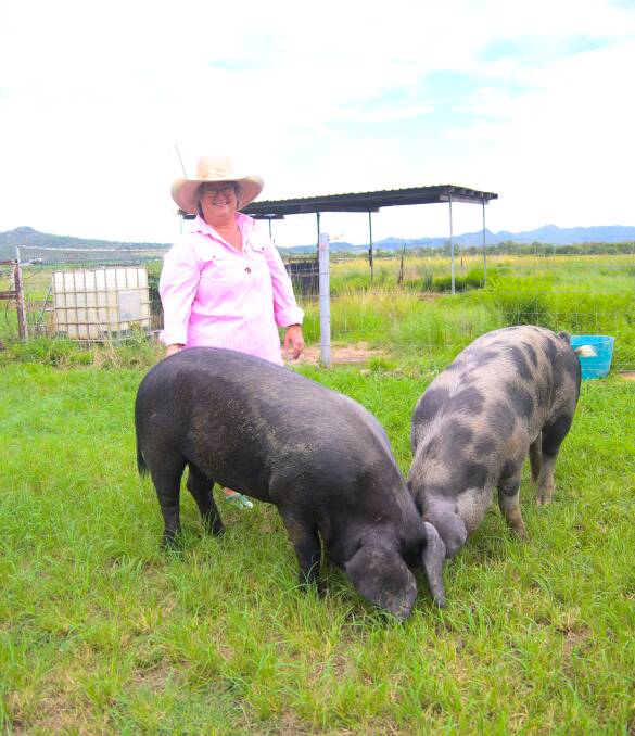 Free range pig farmer Kathy Rowling with two of her breeding sows. Picture: Lea Coghlan 