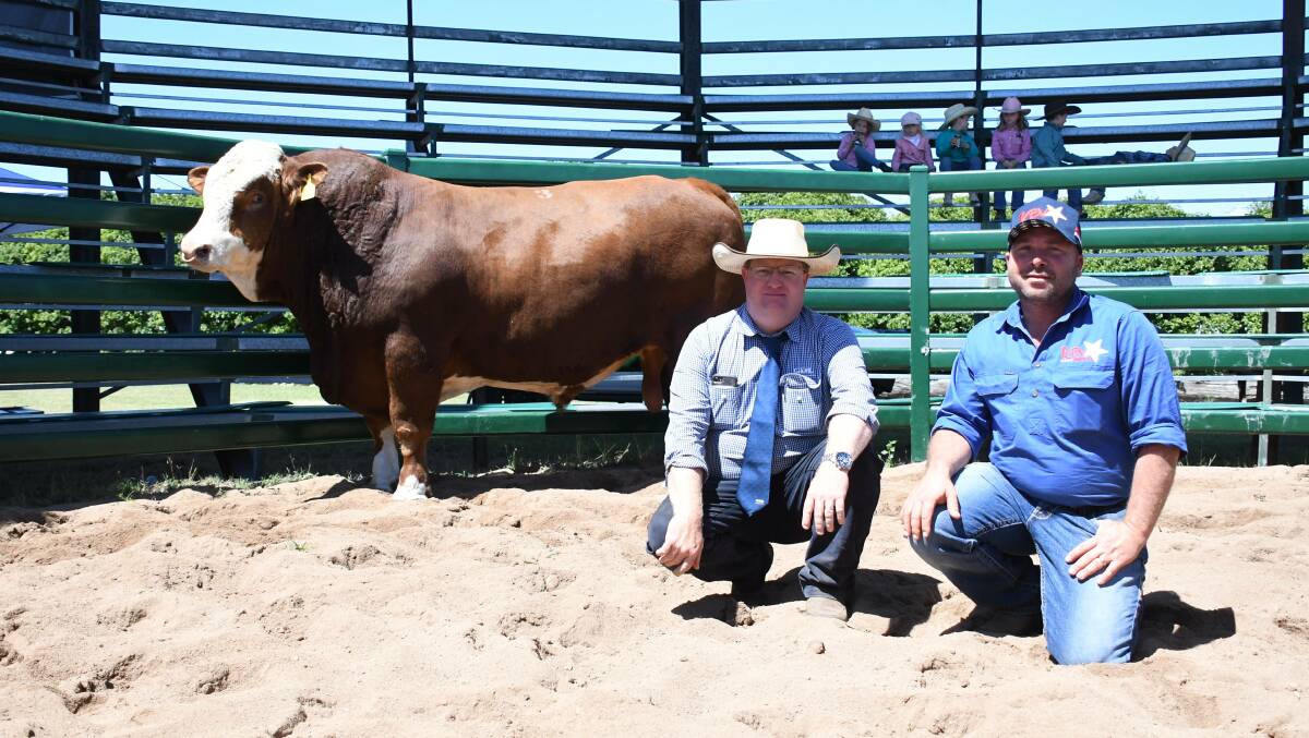 Sire Shootout winner KBV Penfold sold for $24,000 and is with auctioneer Mark Duthie, SBB/GDL, and owner Marty Rowlands, KBV Simmentals, Murphys Creek. Photo: Jane Lowe